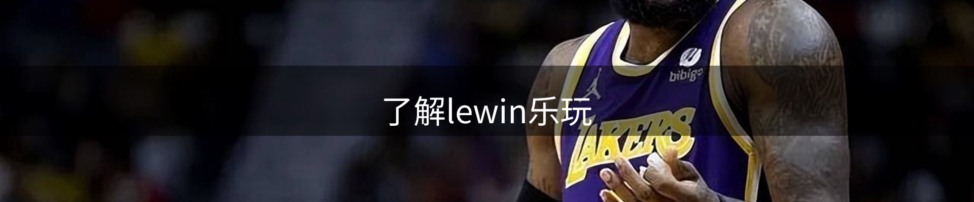 了解lewin乐玩