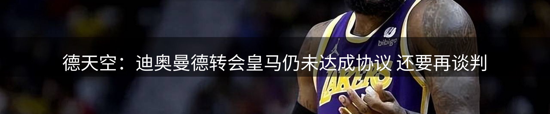 新闻动态
