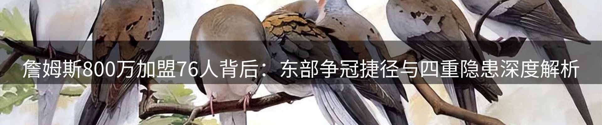 新闻动态